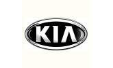 Фарби KIA