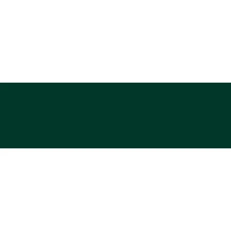 Фарба Tesla B04 (1GN00) RACING GREEN, NEW BRITISH RACING GREEN Фарба Tesla B04 (1GN00) RACING GREEN, NEW BRITISH RACING GREEN